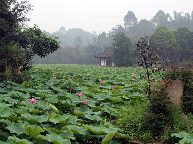 P7089380.JPG