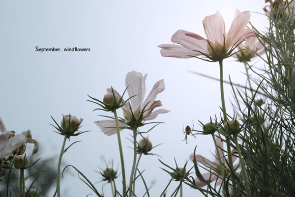 2010061836223781.jpg