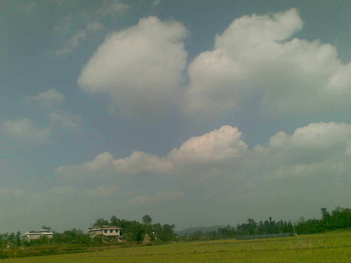 20081123_014.jpg