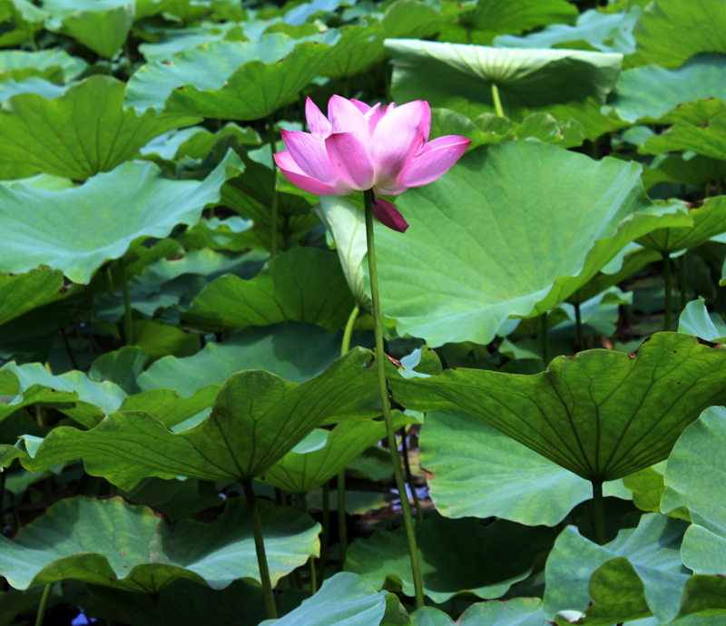 照片 027.jpg