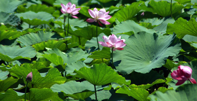 照片 051.jpg