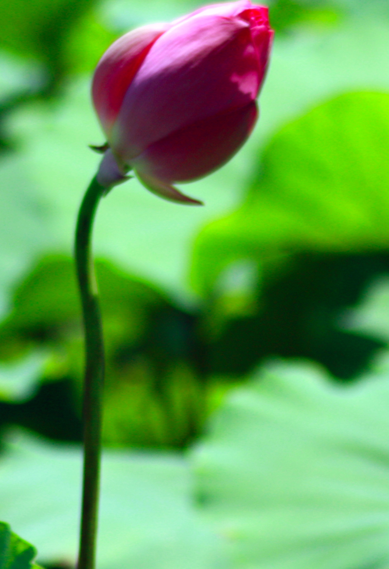 照片 045.jpg