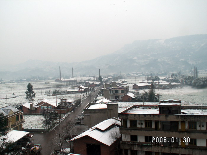 2008年的雪