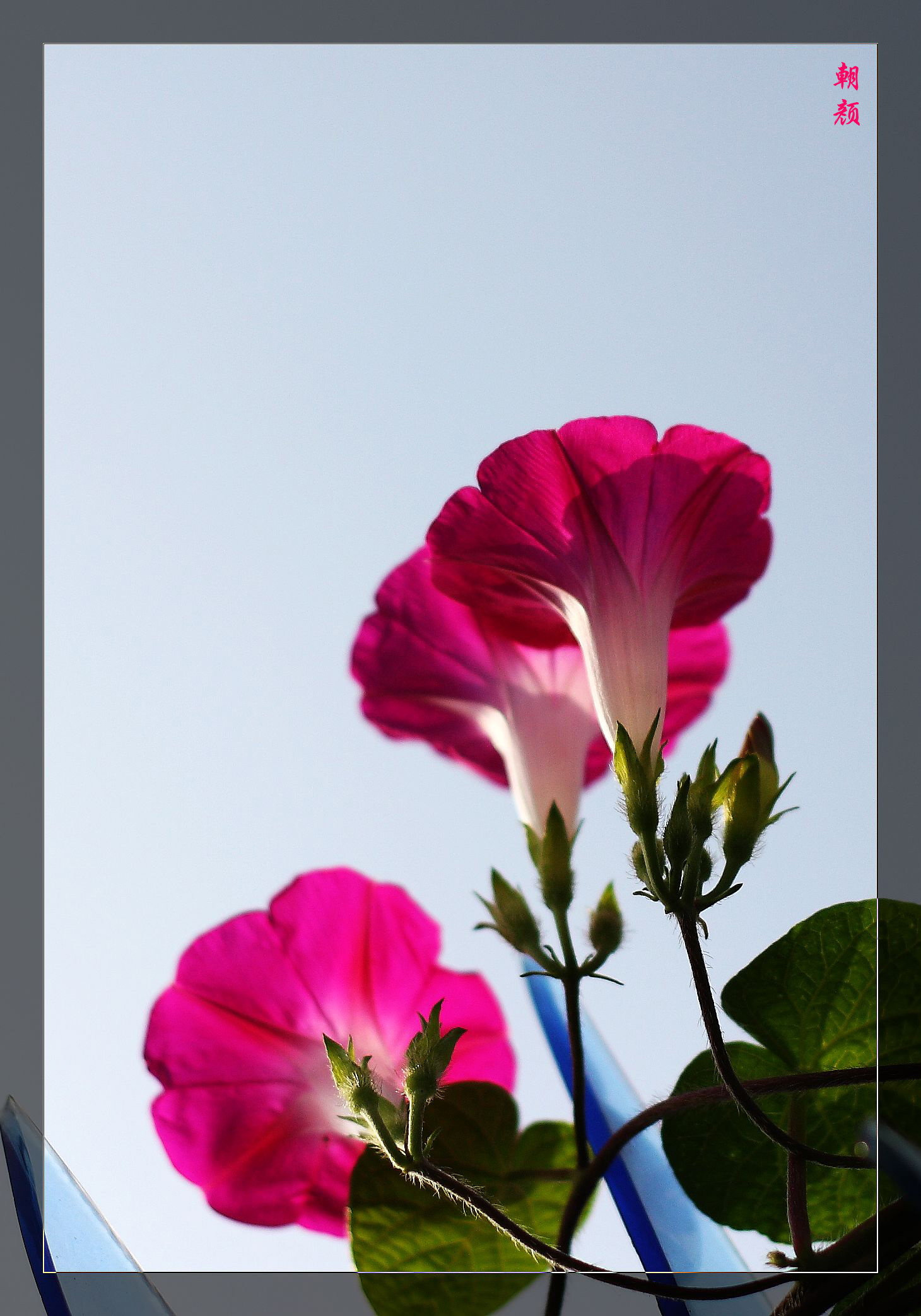 IMG_6304q副本.jpg
