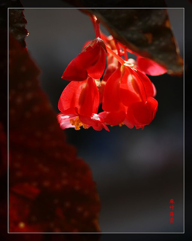 IMG_6326q副本.jpg