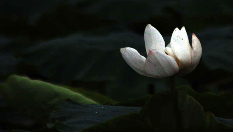 照片 021.jpg