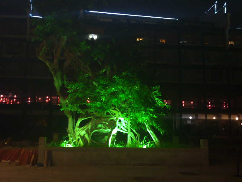20100721535.jpg