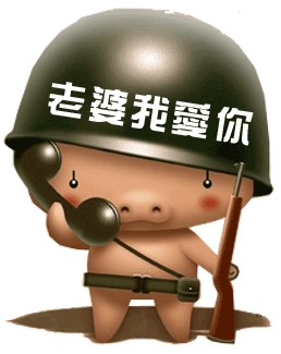 猪-12.jpg