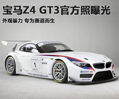 20100313101905788.jpg
