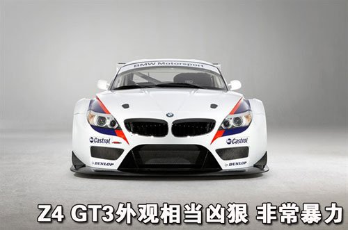 20100313101905706.jpg