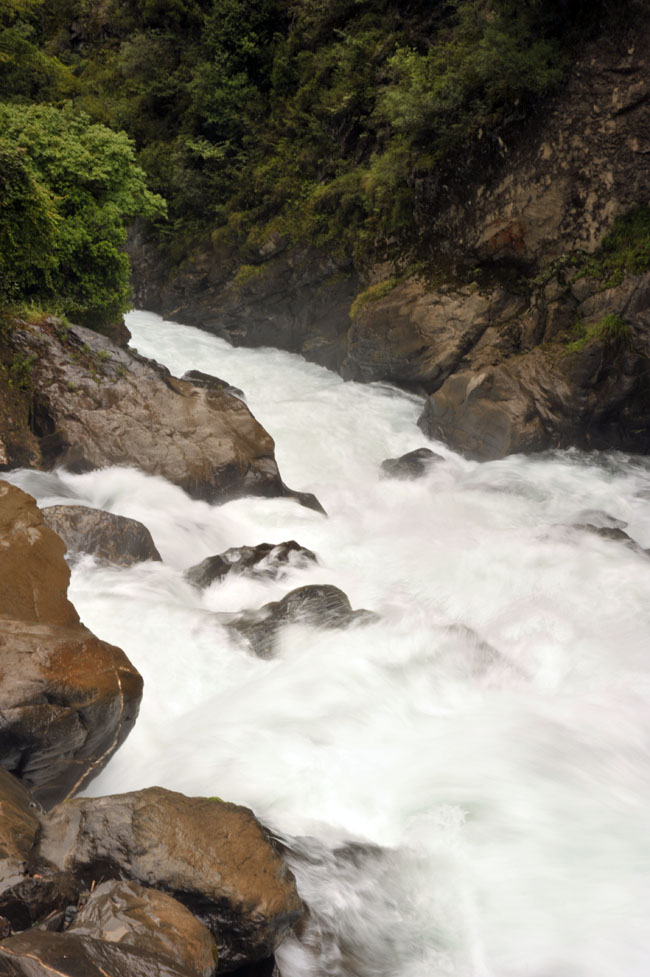 DSC_2490.jpg
