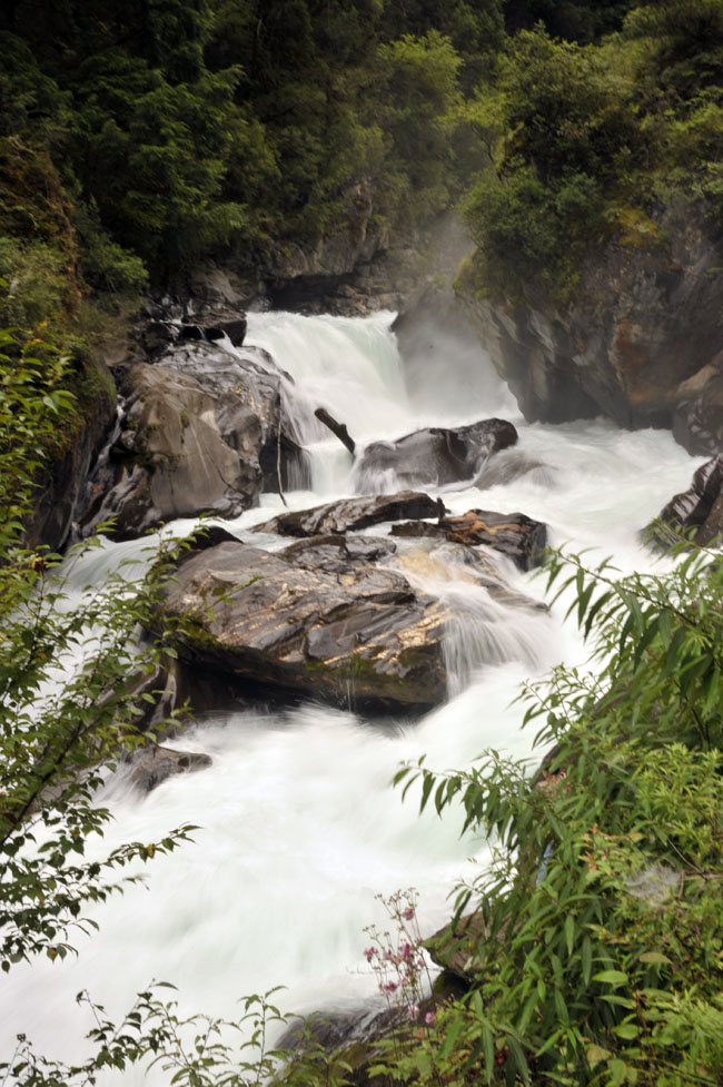 DSC_2489.jpg