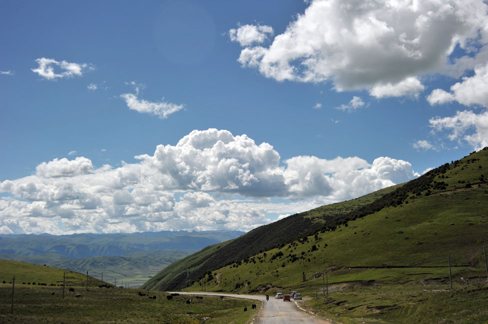 DSC_2619.jpg