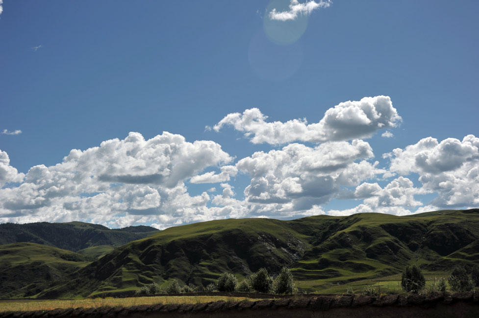 DSC_2636.jpg
