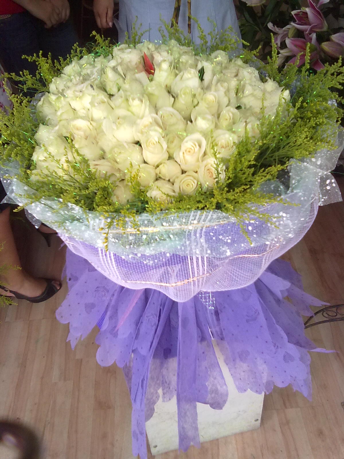20100810029.jpg