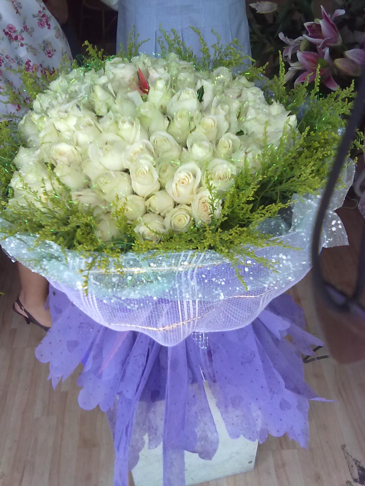 20100810026.jpg