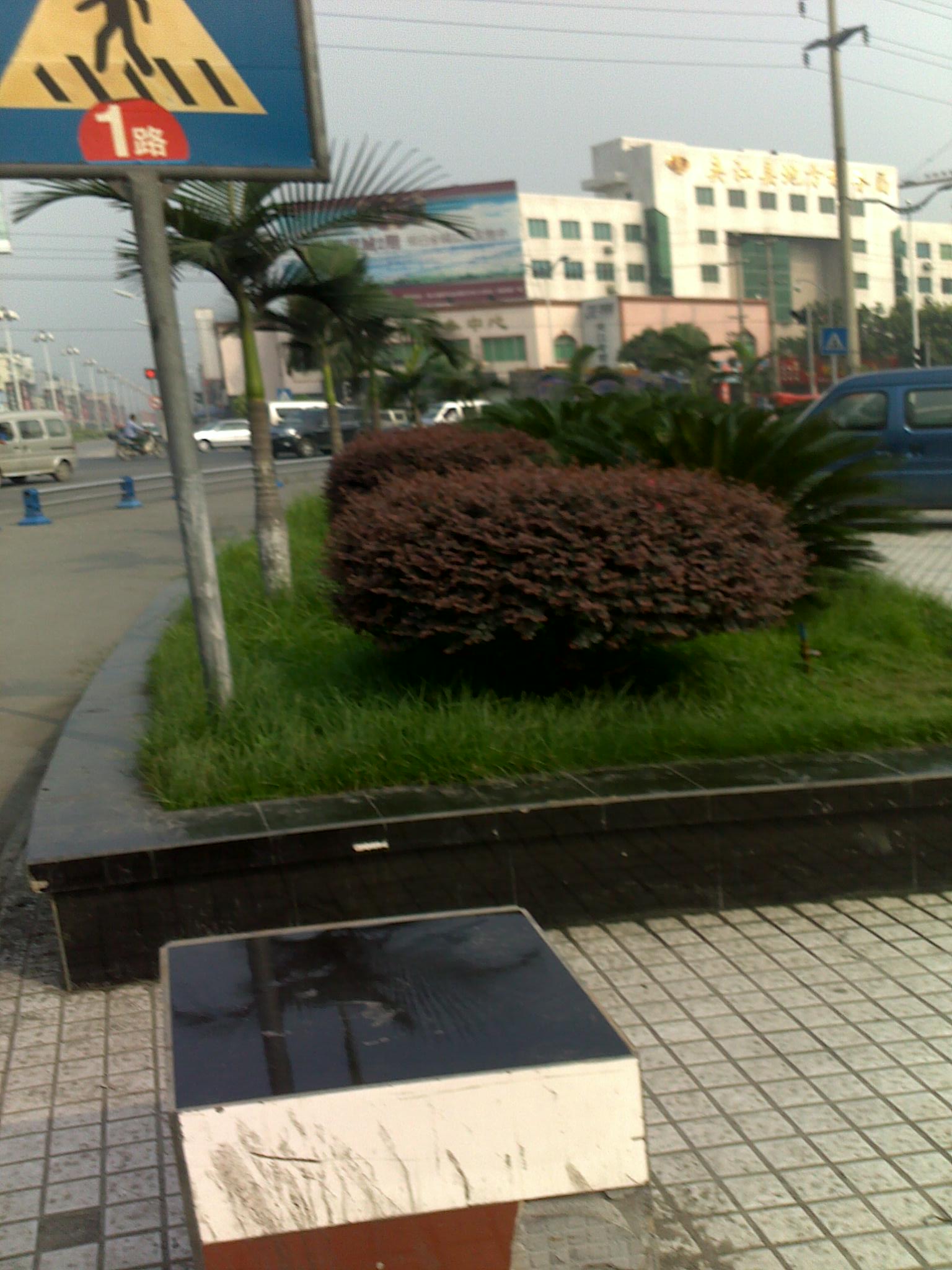 20100806216.jpg