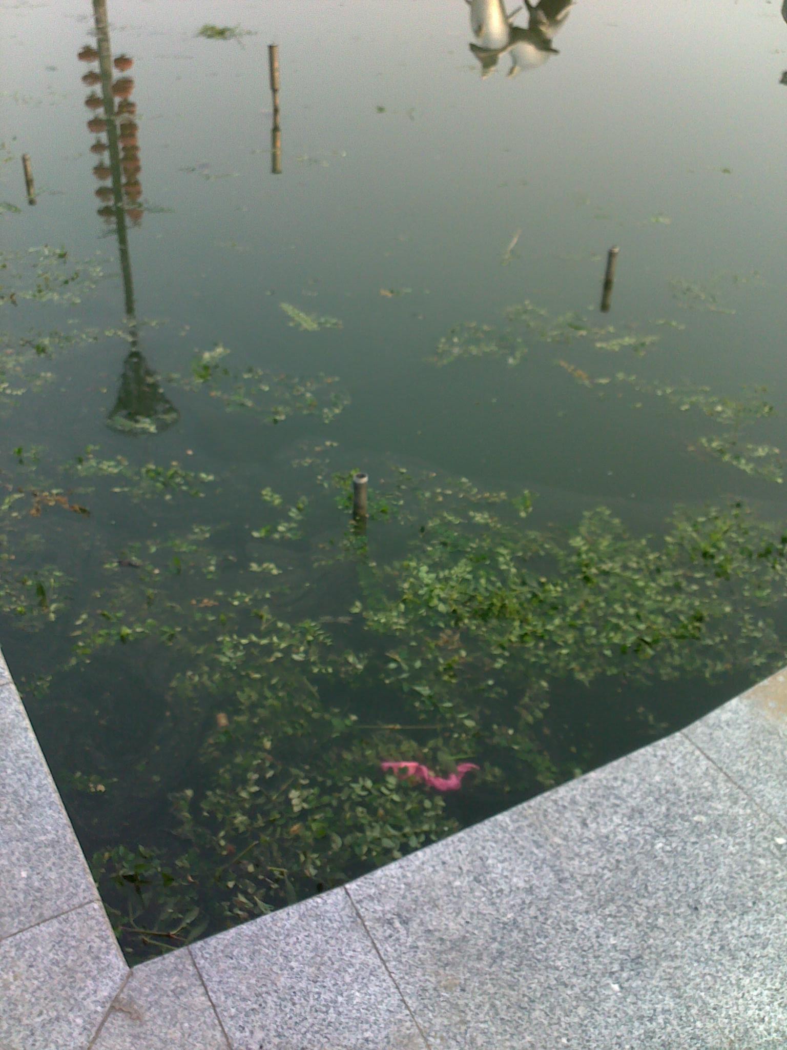 20100806232.jpg