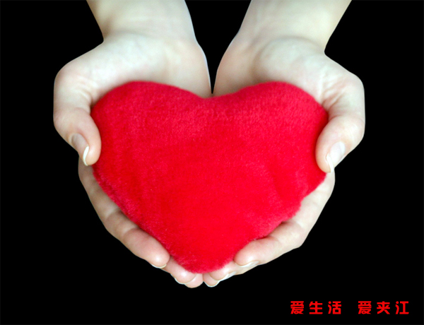 c7f36c09de029ef53ac76323副本.jpg