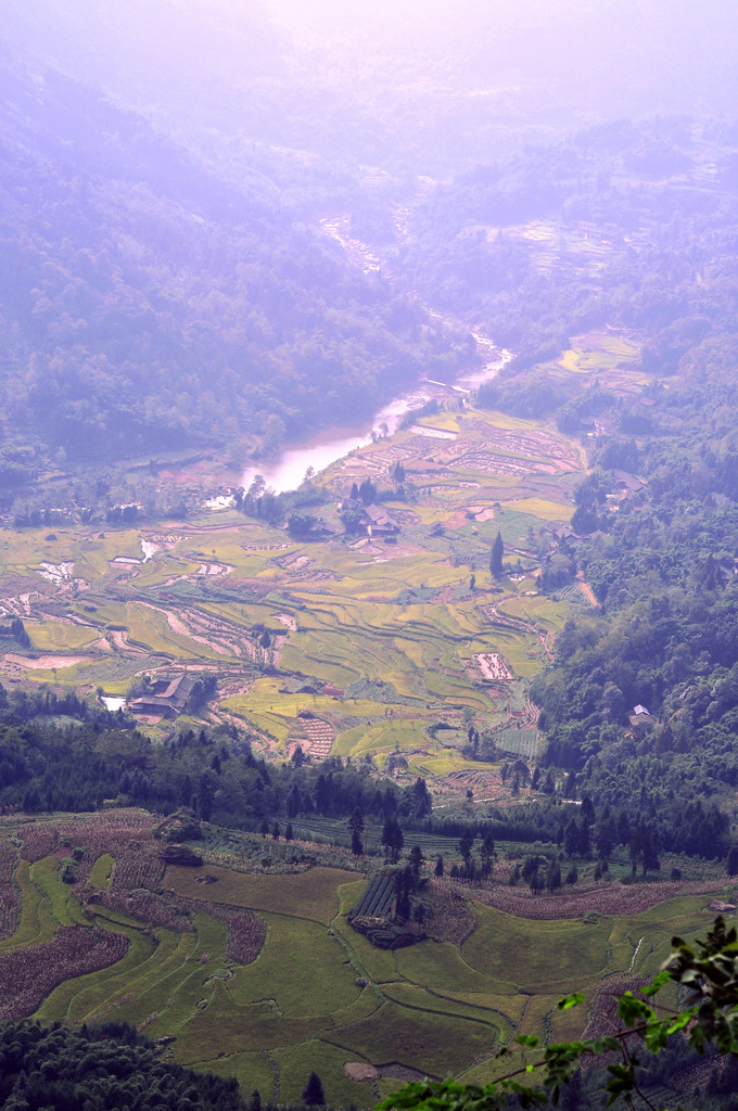 _DSC0702.JPG