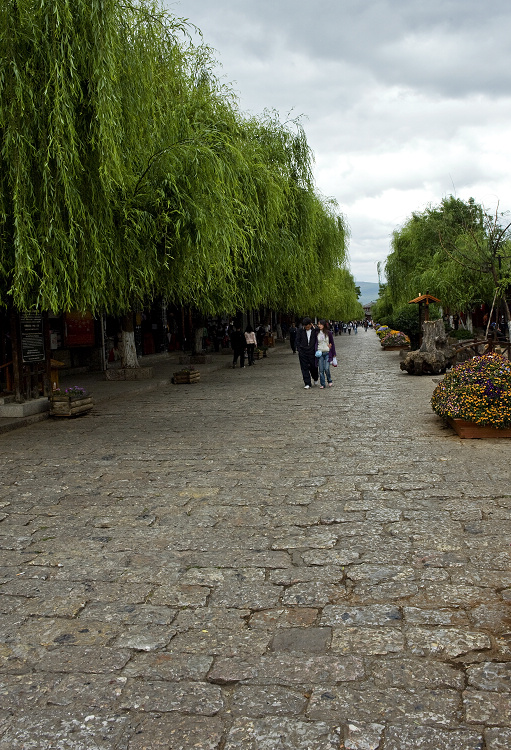 gdsc011-5.jpg