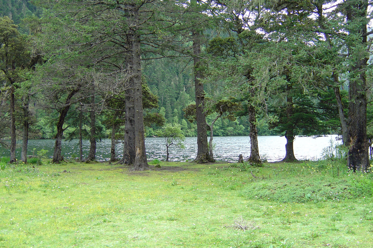 伍须海上草甸.jpg