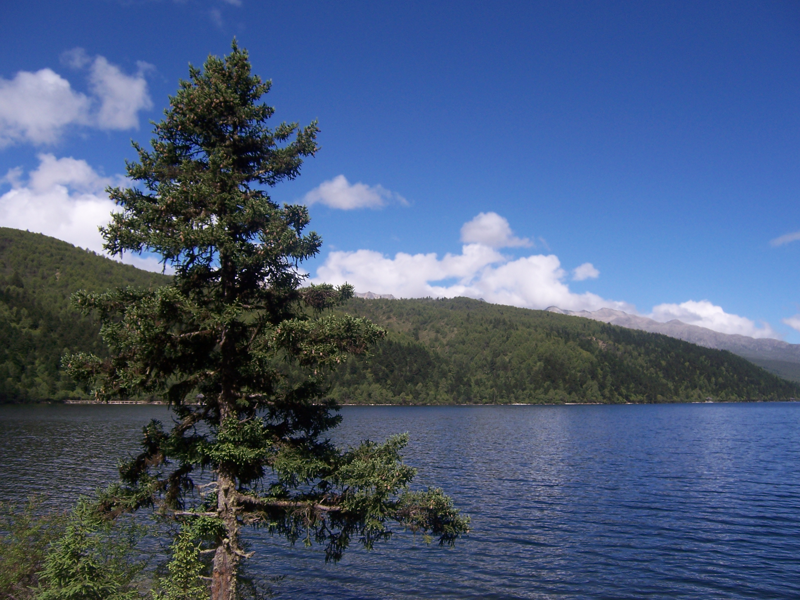 康定美景，木格措