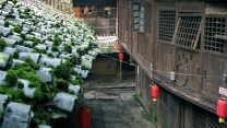 陈照片——古镇鳞瓦