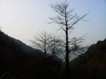 今天登山照片