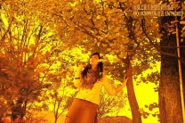 原创摄影作品----金色的秋天