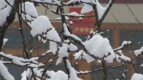 峨眉寒雪婚庆暖